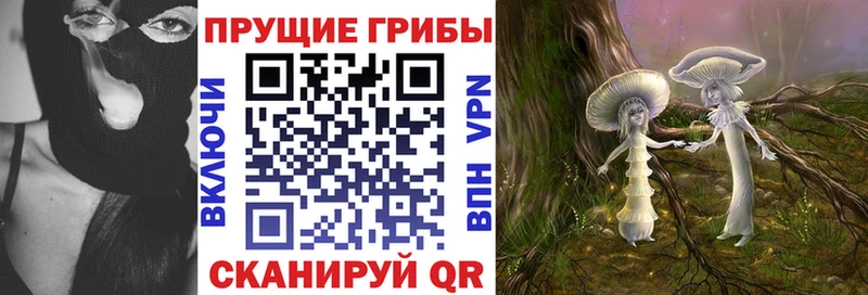 сколько стоит  Рузаевка  Галлюциногенные грибы прущие грибы 