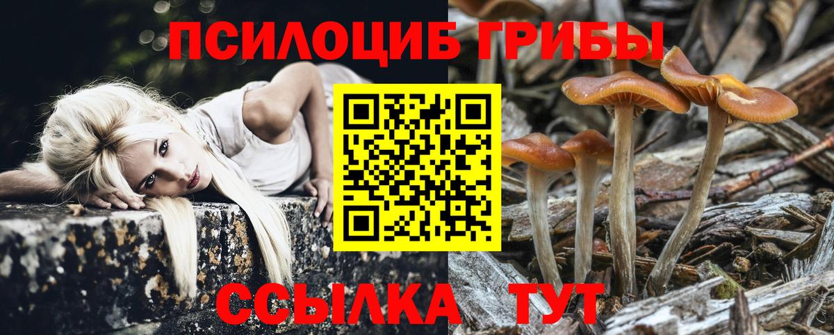 Рузаевка  Галлюциногенные грибы мицелий  Вход с VPN 
